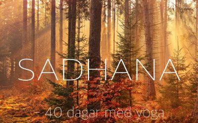 SADHANA – 40 dagar med yoga 12/9 2020